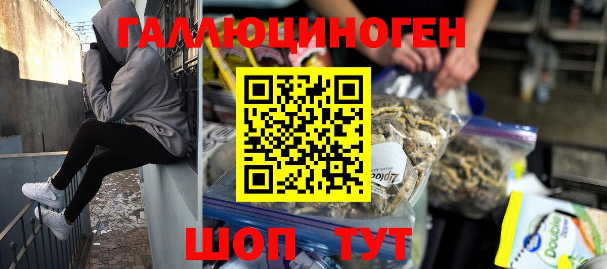 Псилоцибиновые грибы прущие грибы Нижнеудинск