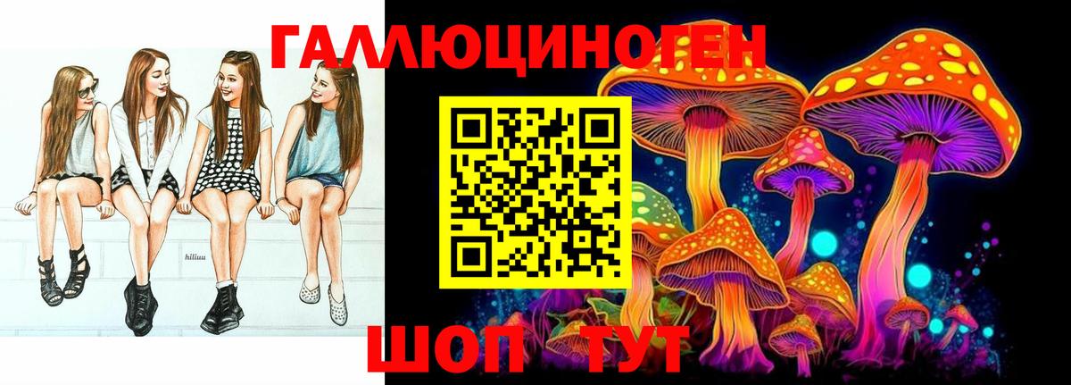 Галлюциногенные грибы Psilocybine cubensis  Вход с VPN  Нижнеудинск 